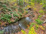 0 Cider Mountain Road - Photo 15