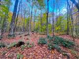 0 Cider Mountain Road - Photo 19