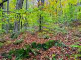 0 Cider Mountain Road - Photo 20