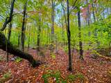 0 Cider Mountain Road - Photo 21