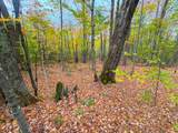 0 Cider Mountain Road - Photo 22