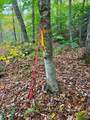 0 Cider Mountain Road - Photo 39