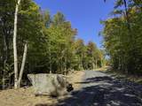 0 Cider Mountain Road - Photo 42