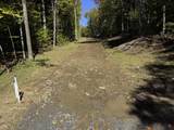 0 Cider Mountain Road - Photo 46
