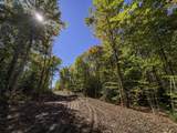 0 Cider Mountain Road - Photo 52