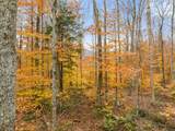 TBD Boyce Road - Photo 14