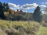 0 Old Farm Road - Photo 10