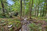 51 Hilltop Lane - Photo 46
