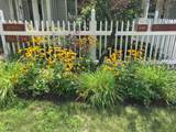 556 Equinox On The Battenkill Road - Photo 16