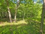 320 Green Mountain Camp Road - Photo 6