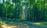 320 Green Mountain Camp Road - Photo 7