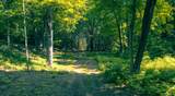 320 Green Mountain Camp Road - Photo 8