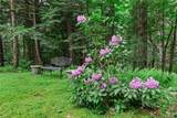 192 Forest Mountain Road - Photo 34