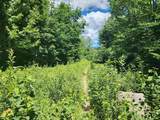 00000 Ledgewood Road - Photo 10