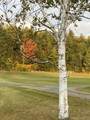 61 Putnam Road - Photo 6