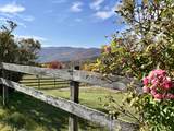 1228 Skiparee Road - Photo 4