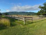 1228 Skiparee Road - Photo 5