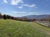 1228 Skiparee Road - Photo 7