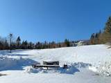 59 Sugar Brook Road - Photo 51