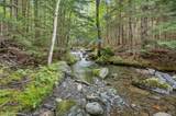 1013 Carrie Howe Road - Photo 41