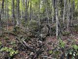 6450 Kirby Mountain Road - Photo 20