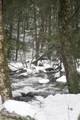 481 Chocorua Mountain Highway - Photo 10