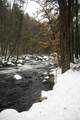 481 Chocorua Mountain Highway - Photo 12