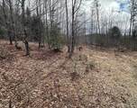 1412 Bean Pond Road - Photo 3