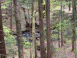 Lot 3 Old Mill Crossing - Photo 17