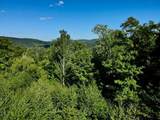 S-1c Great Roaring Brook Road - Photo 10
