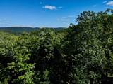 S-1c Great Roaring Brook Road - Photo 12