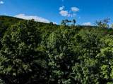 S-1c Great Roaring Brook Road - Photo 14