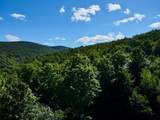 S-1c Great Roaring Brook Road - Photo 15