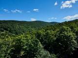 S-1c Great Roaring Brook Road - Photo 16