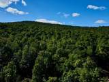 S-1c Great Roaring Brook Road - Photo 17