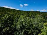 S-1c Great Roaring Brook Road - Photo 5