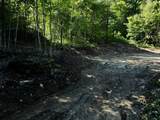 S-1c Great Roaring Brook Road - Photo 8