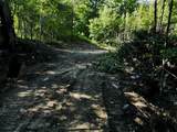S-1c Great Roaring Brook Road - Photo 9
