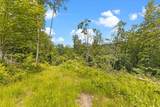 Lot 1 Marshall Road - Photo 3