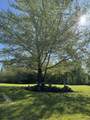 223 Hiram Drive - Photo 12