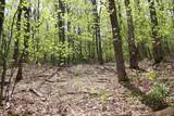 00 Long Hill Road - Photo 11