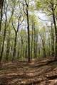 00 Long Hill Road - Photo 15