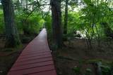 1 Little Beaver Island - Photo 34