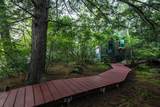 1 Little Beaver Island - Photo 36