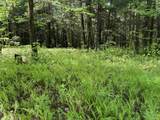 TBD Plot Road - Photo 3