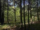 TBD Plot Road - Photo 6