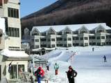 90 Loon Mountain Road - Photo 1