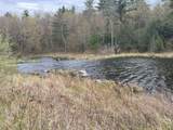 1303 Old Stage Road - Photo 53