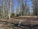 00 Ice Pond Road - Photo 55