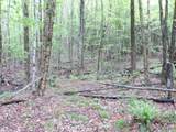 4 & 5 Forest Lane - Photo 3